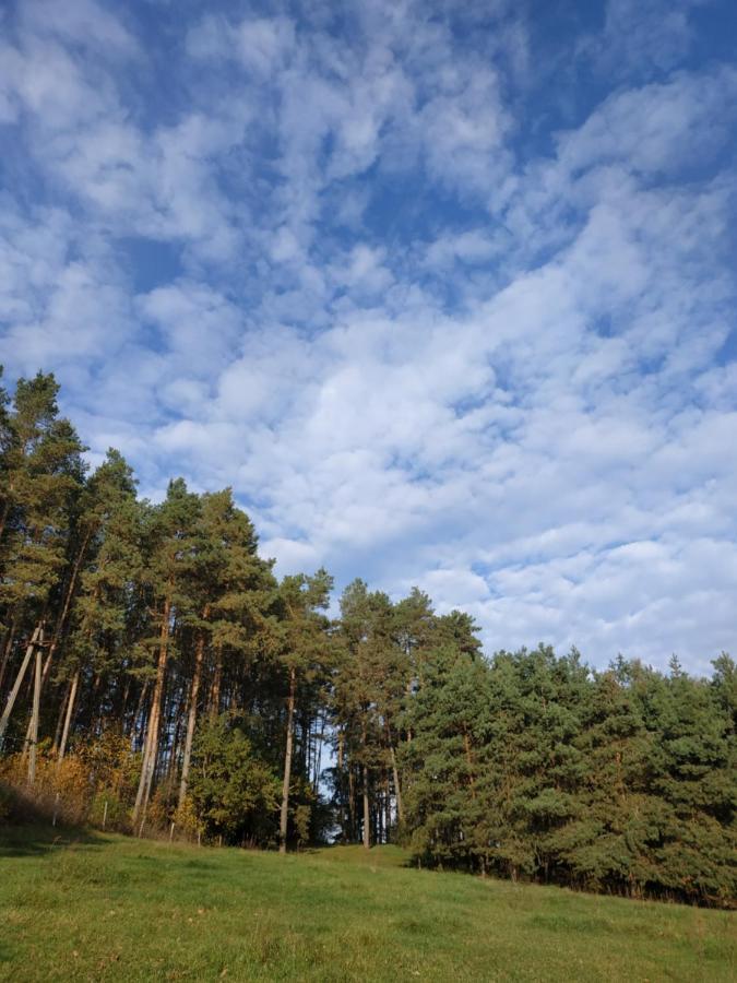 Domki Nad Jeziorem - Zalesie 7D Zalesie (Olsztyn) Екстер'єр фото
