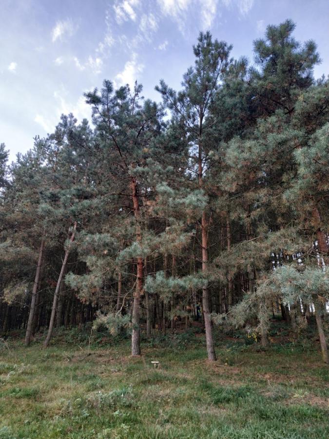 Domki Nad Jeziorem - Zalesie 7D Zalesie (Olsztyn) Екстер'єр фото